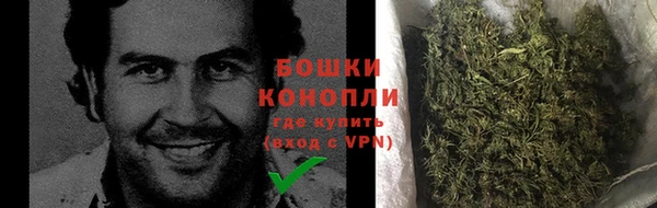 хмурый Горняк