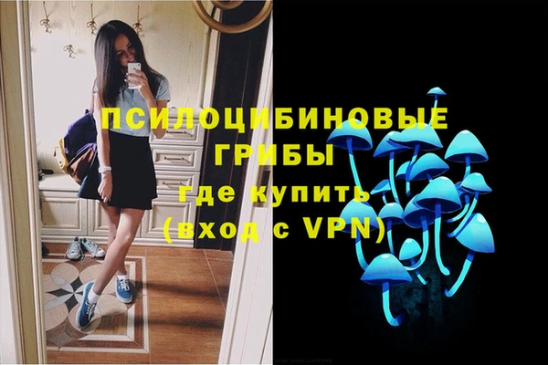 MDMA Горнозаводск