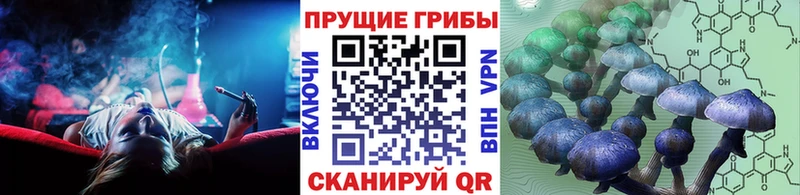 Псилоцибиновые грибы мицелий  Купить закладки  Котовск 
